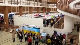 VIDEO Inteligența artificială schimbă joburile. Ce s-ar putea schimba până în 2030?